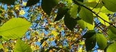 Enlarge photo 110