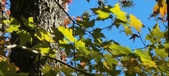 Enlarge photo 108