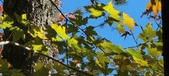 Enlarge photo 107