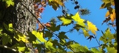 Enlarge photo 114