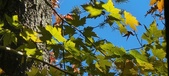 Enlarge photo 113