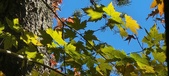 Enlarge photo 112