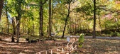 Enlarge photo 111