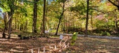 Enlarge photo 118