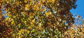 Enlarge photo 117