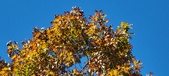 Enlarge photo 115