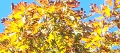 Enlarge photo 120