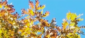 Enlarge photo 123