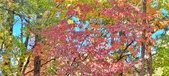 Enlarge photo 132
