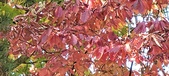 Enlarge photo 131