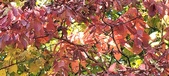 Enlarge photo 142