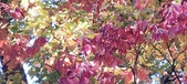 Enlarge photo 140