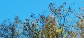 Enlarge photo 139