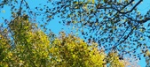 Enlarge photo 146