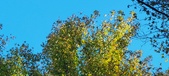 Enlarge photo 145