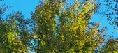 Enlarge photo 144