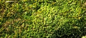 Enlarge photo 143
