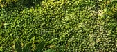 Enlarge photo 154