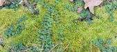 Enlarge photo 151