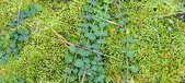 Enlarge photo 158
