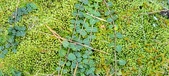 Enlarge photo 157