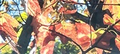 Enlarge photo 155