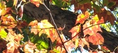 Enlarge photo 168