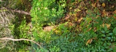 Enlarge photo 174