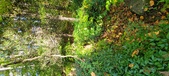 Enlarge photo 173