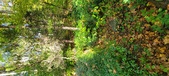 Enlarge photo 172