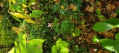 Enlarge photo 171
