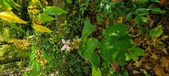 Enlarge photo 178