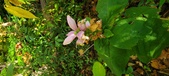 Enlarge photo 176