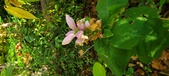 Enlarge photo 182