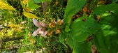 Enlarge photo 181