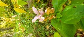 Enlarge photo 180