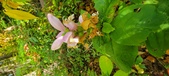 Enlarge photo 179