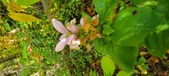 Enlarge photo 186