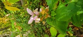 Enlarge photo 185