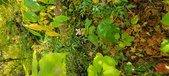 Enlarge photo 183