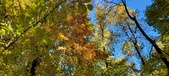 Enlarge photo 190