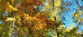 Enlarge photo 189