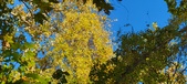 Enlarge photo 196