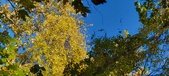 Enlarge photo 195