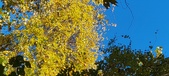 Enlarge photo 202