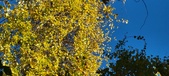 Enlarge photo 201