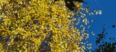 Enlarge photo 206