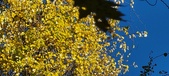 Enlarge photo 205