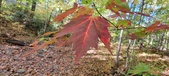 Enlarge photo 209