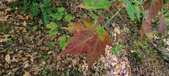 Enlarge photo 214